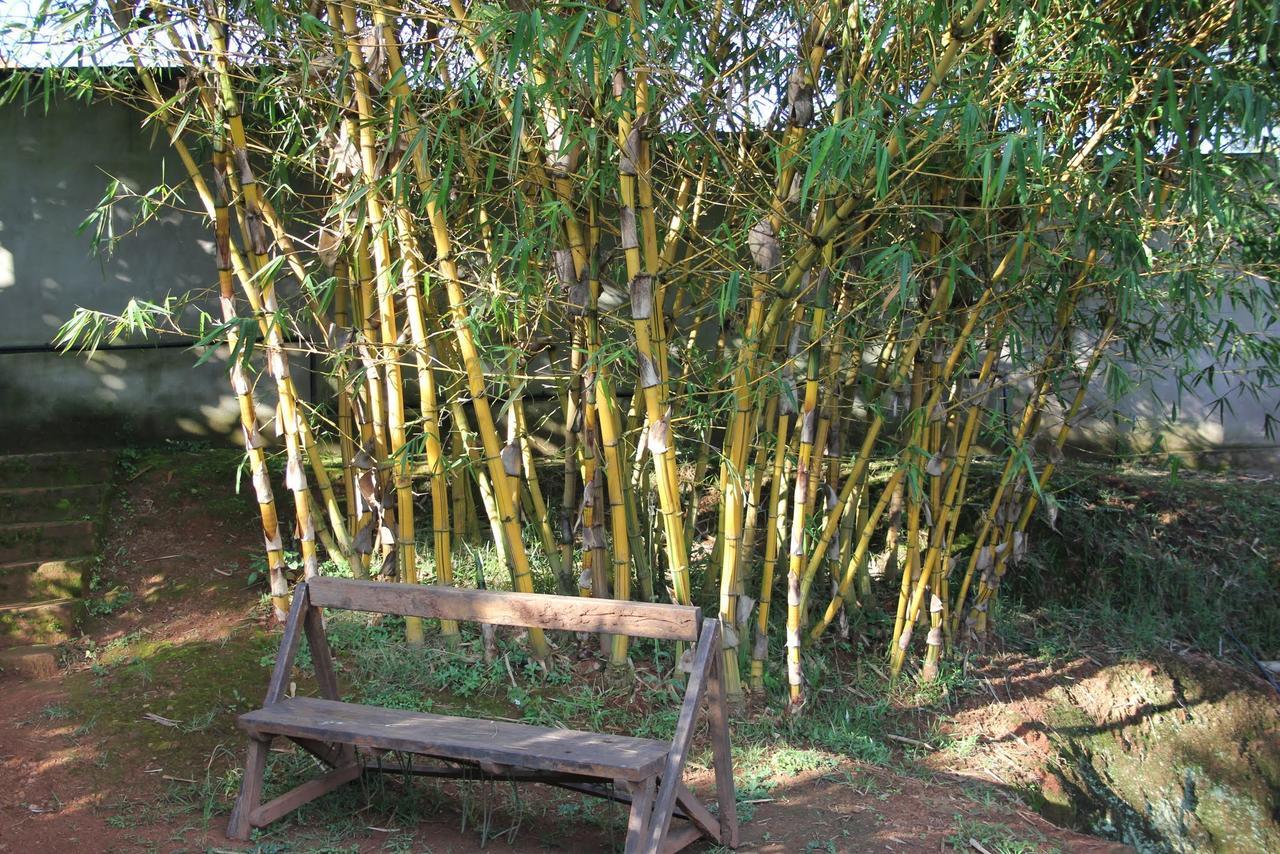 Banda Lodge Masaka Εξωτερικό φωτογραφία