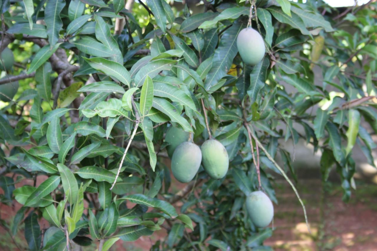 Banda Lodge Masaka Εξωτερικό φωτογραφία